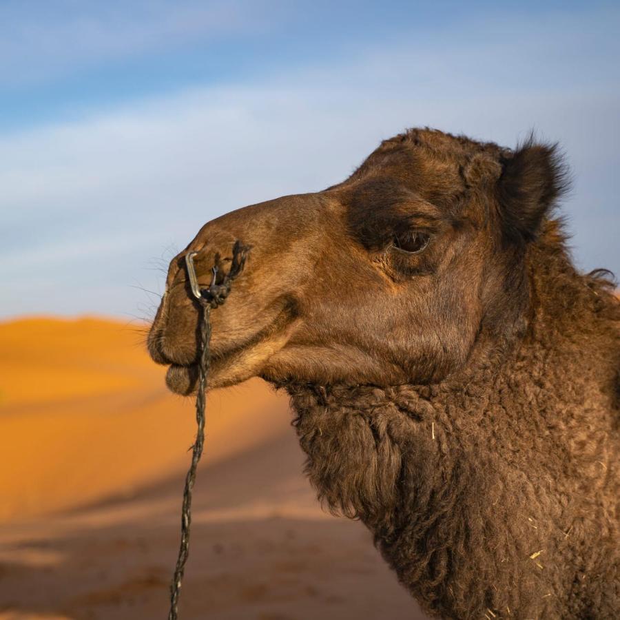Authentic Desert Luxury Camp Merzouga Buitenkant foto